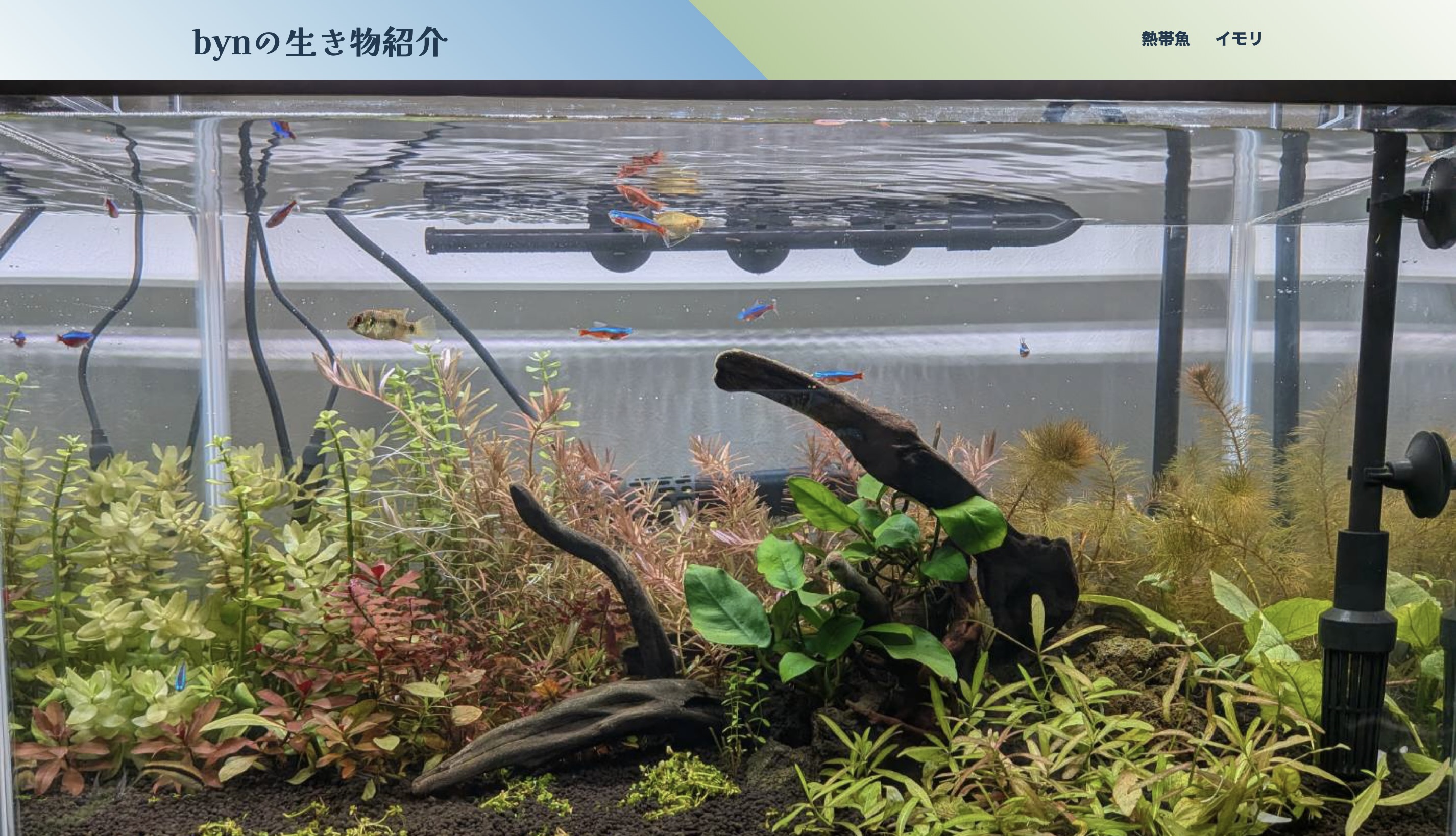 生き物紹介サイトのFV